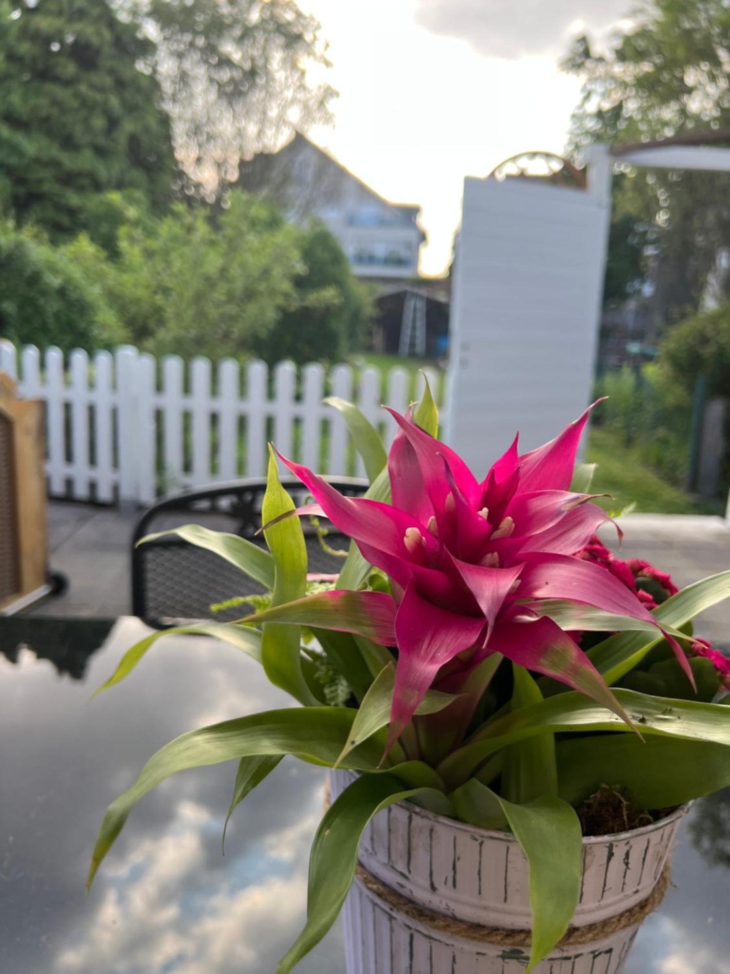 Auszeit Im Pott - Ferienwohnung Lavendel Хертен Экстерьер фото